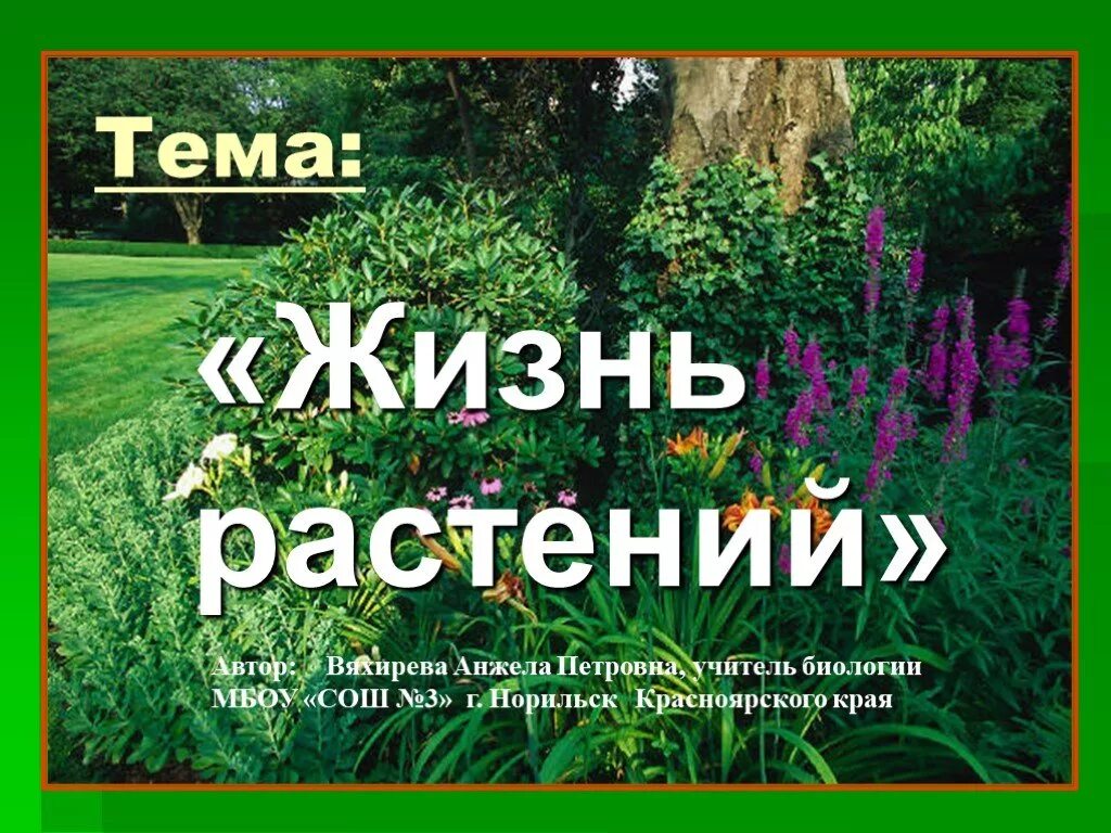 Жизнь растений том 3. Жизнь растений.. Презентация на тему жизнь растений. 1 Растение в жизни. Жизнь растений проект.