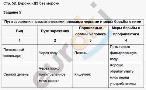 Паразитические плоские черви лабораторная работа