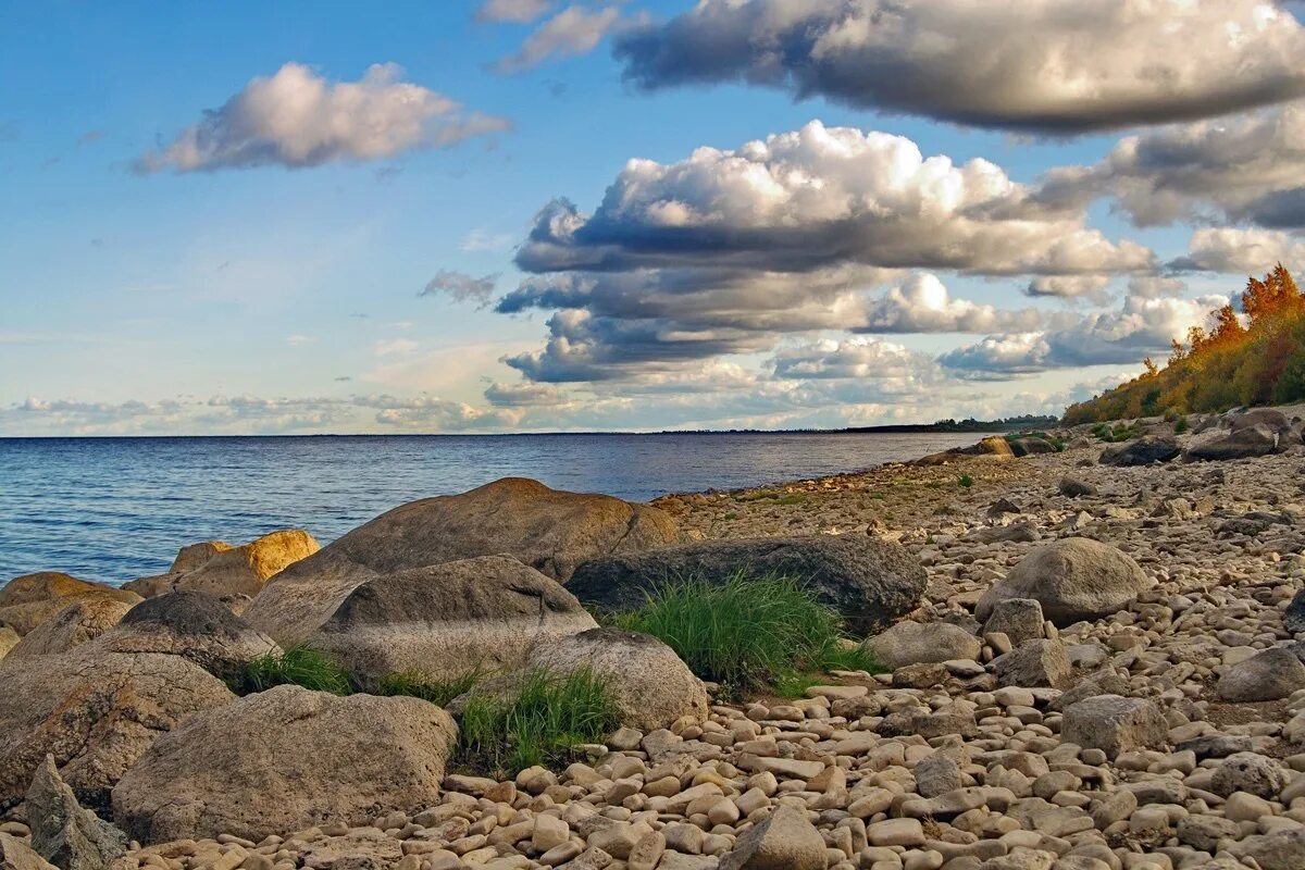 Озеро Ильмень. Озеро Ильмень Новгородская. Ильмень море Великий Новгород. Коростынь Ильмень. Название озера ильмень