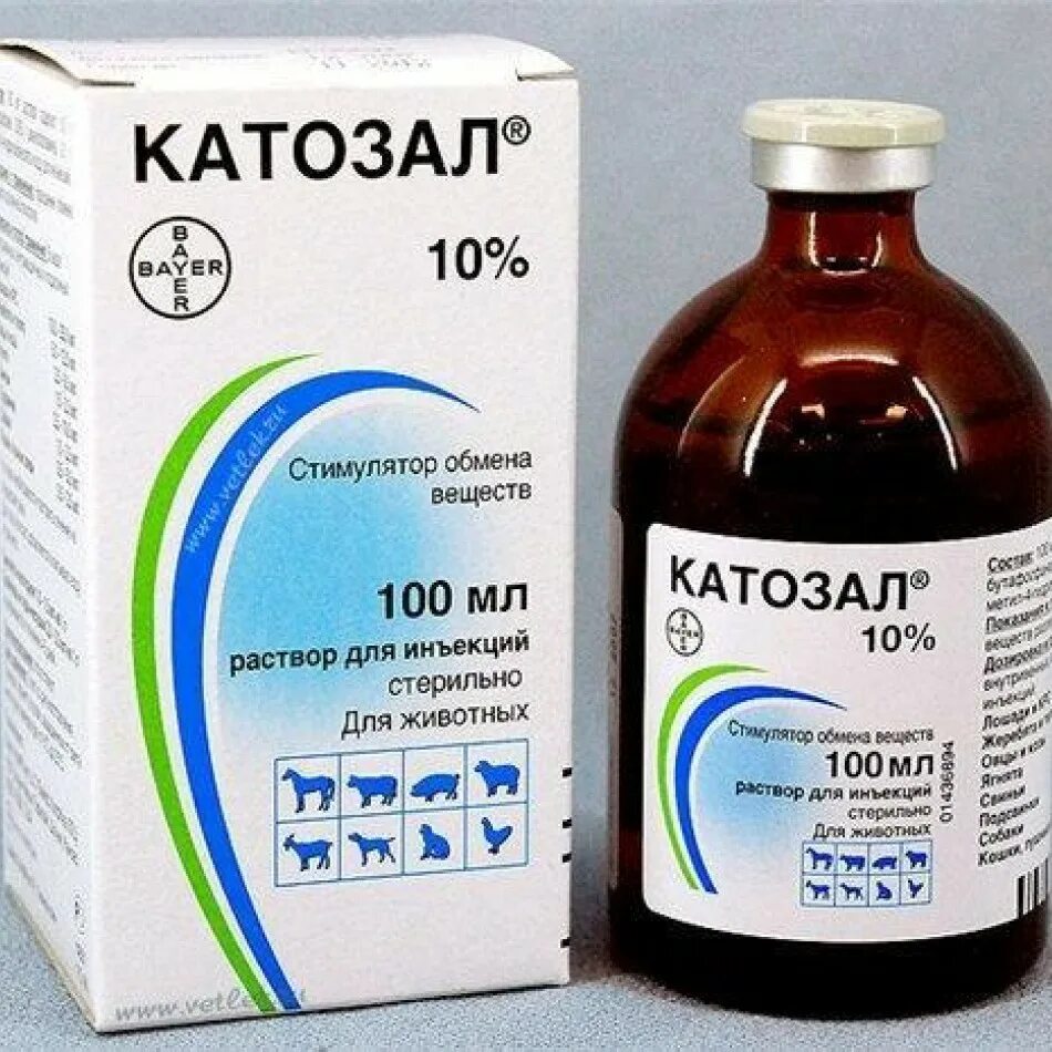Обезболивающие и жаропонижающие препараты для животных. Катозал 10% 100мл. катозал байер. катозал 10% флак. 100 мл.. препарат катозал для животных.