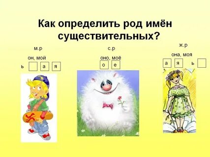 Род имен существительных понятия