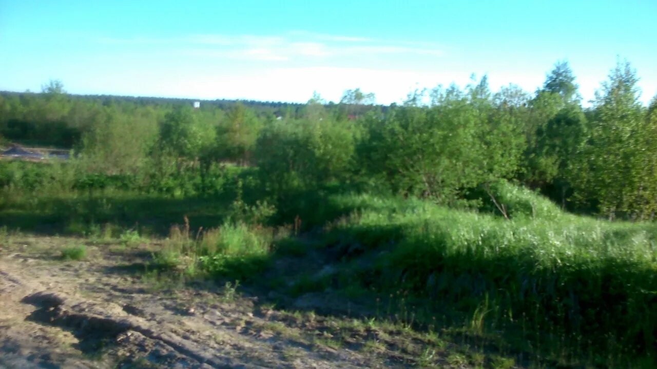 Погода в верхних осельках ленобласти