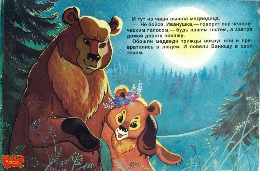 Привет медведь читать. Седой медведь книга. Седой медведь сказка. Мишка с книгой.
