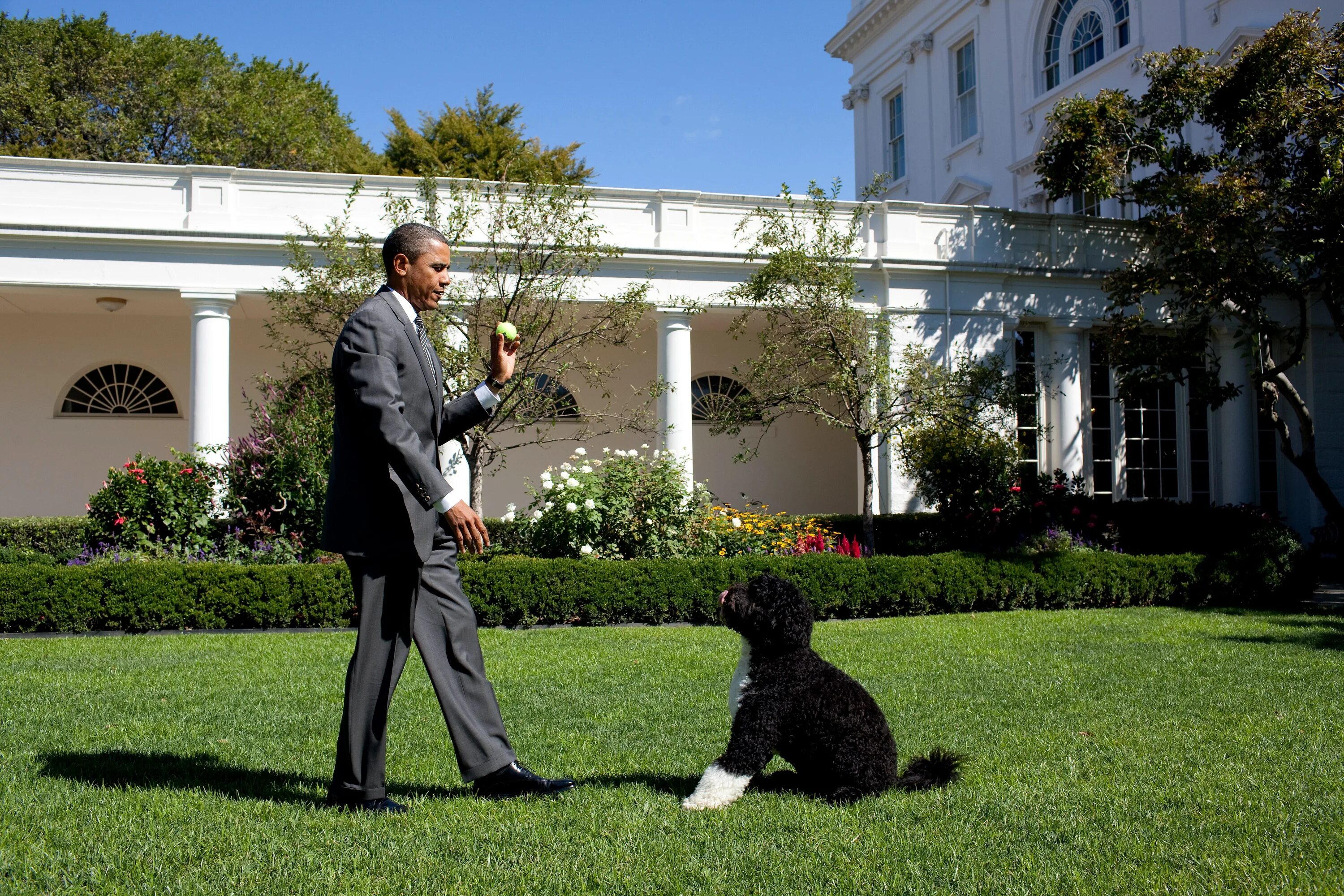 Белый дом обамы. Розовый сад белого дома. барак обама walk a dog. the president with a dog. barack obama family photos.