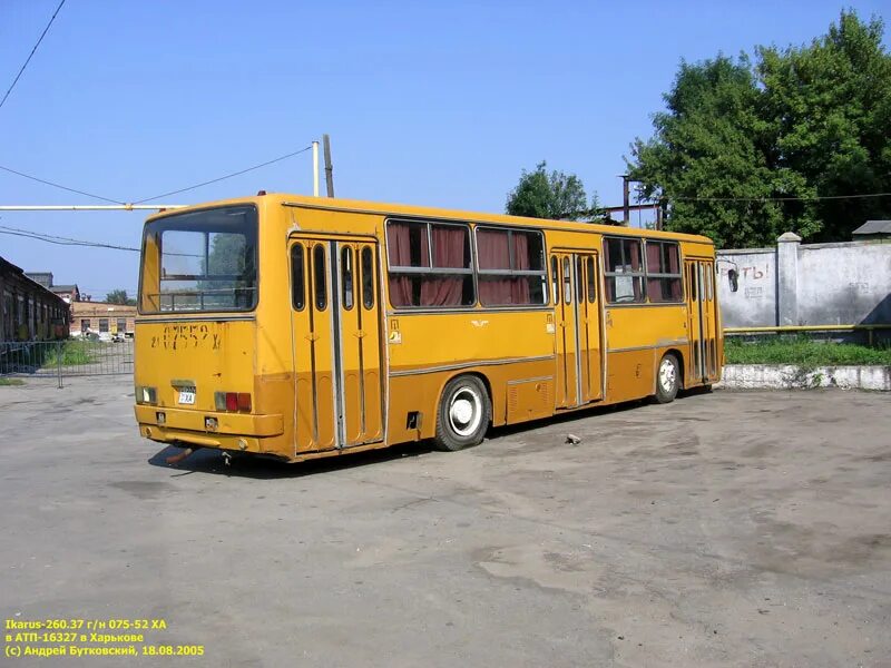 Автобус икарус 260. 260 37. 37. Ikarus 260. Ikarus 260.