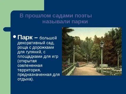 Чем отличается парка