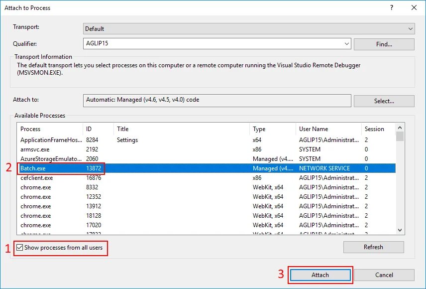Debug process