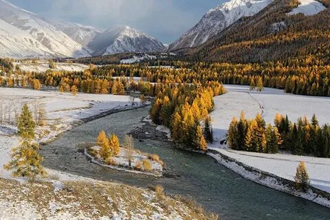 Siberia altai