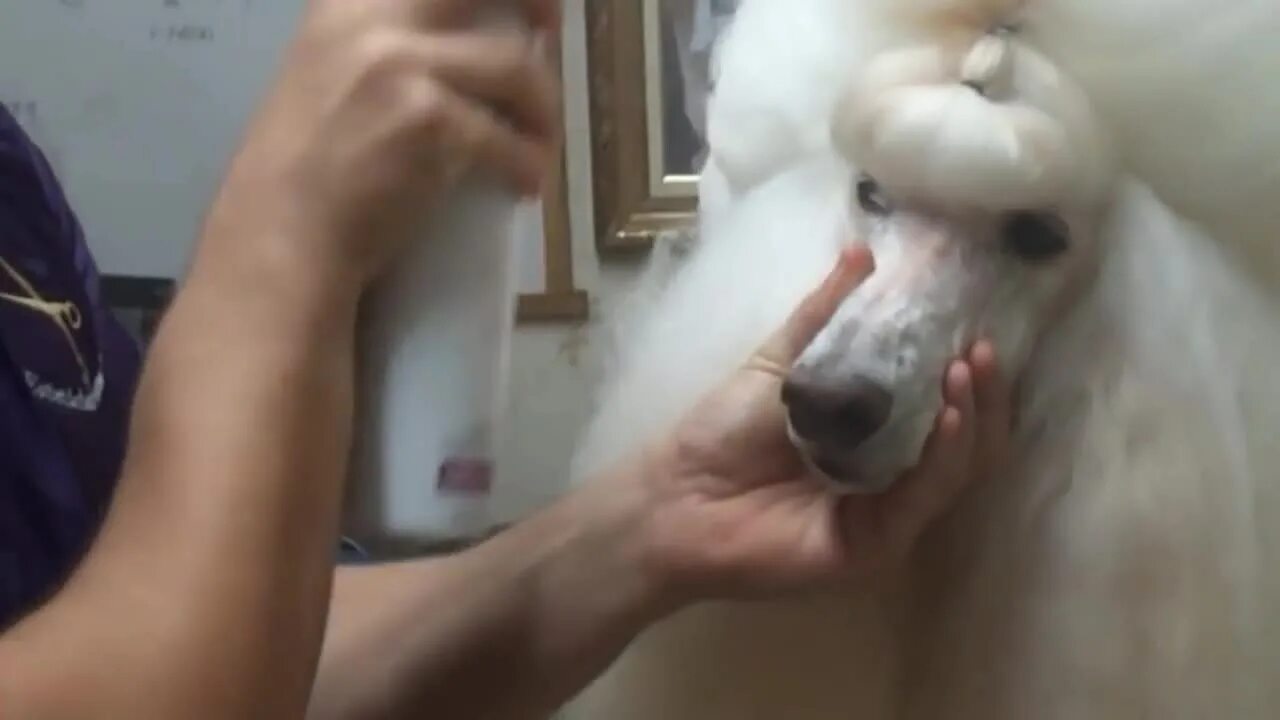 Was ist los eisbrecher. Eisbrecher was ist hier los девушка из клипа. was ist hier los кто поет в клипе.