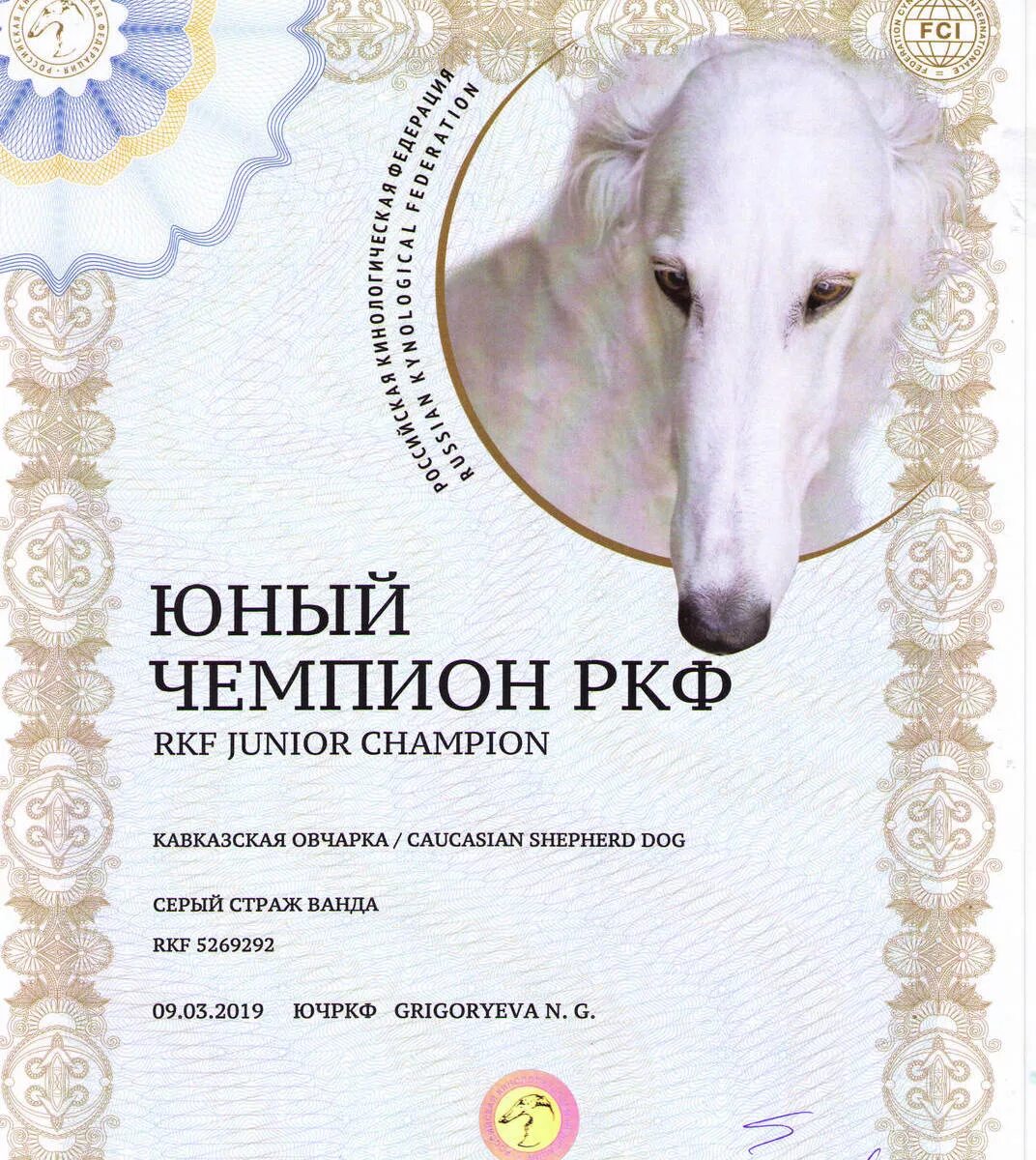 Топ ркф. Топ ркф