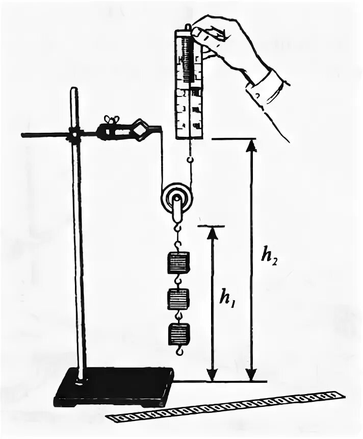 Штатив с динамометром и два груша. Закрепить динамометр в лапке штатива и подвесьте к нему на нити тело. Как собрать штатив с лапкой химия. Укрепить динамометр в лапке штатива