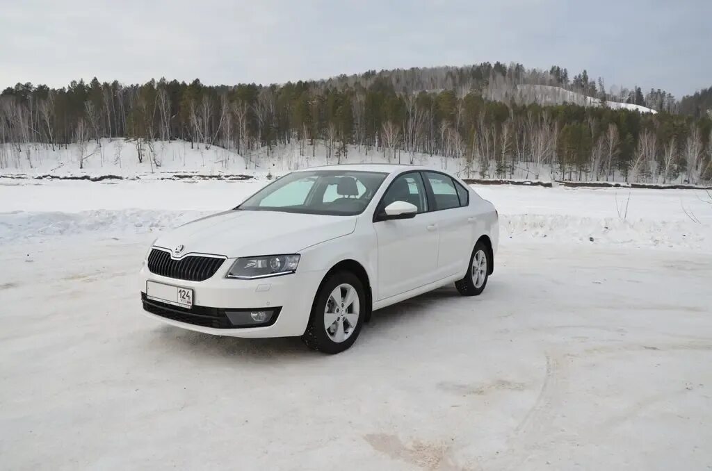 А5 отзывы владельцев. Skoda Octavia 1.7.