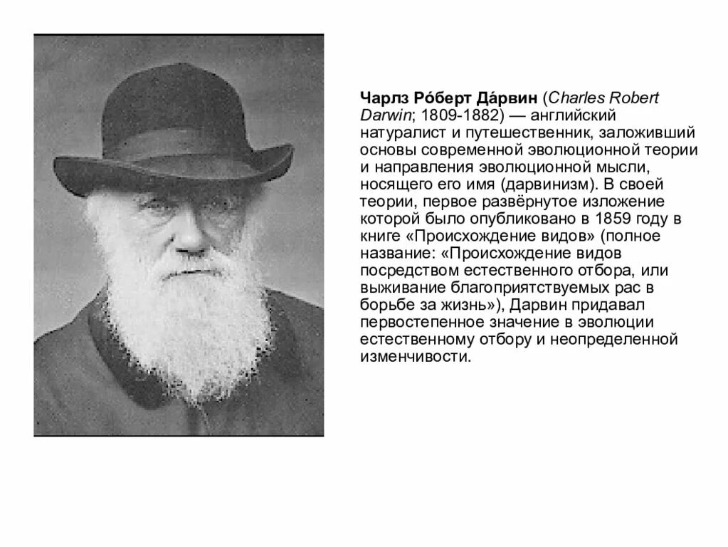 Имена натуралистов. Дарвин. Дарвинизм. Чарлз Дарвин и его теория. Дарвинизм по имени английского натуралиста Дарвина. Дарвинизм направление эволюционной мысли.