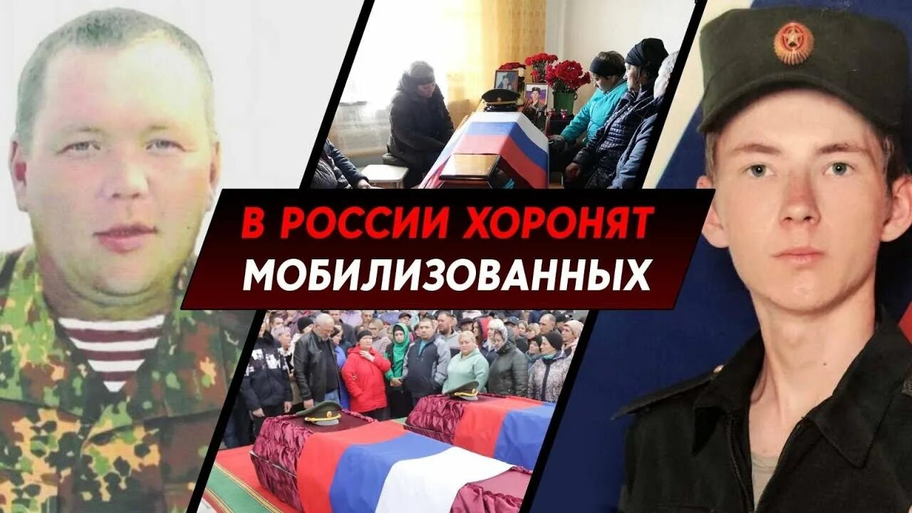 Сколько погибло мобилизованных на украине. Похоронка сво. Погибшие мобилизованные. Мобилизация похоронки. Погибшие мобилизованные на Украине.
