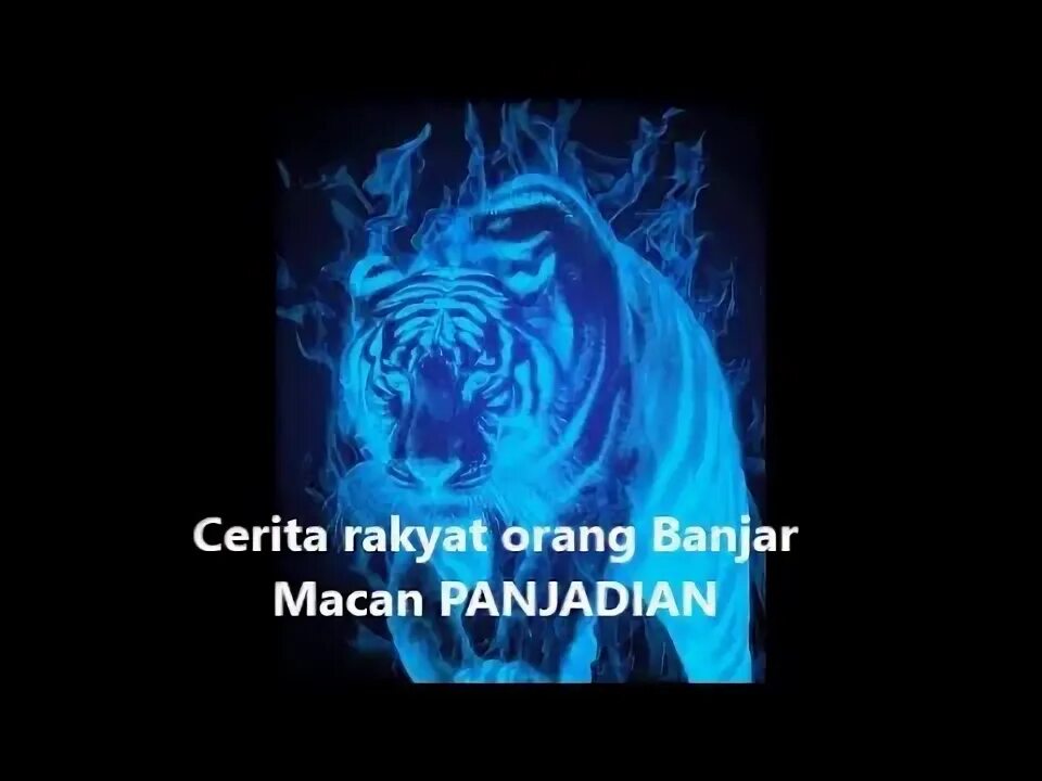 Macan stories. Macan stories