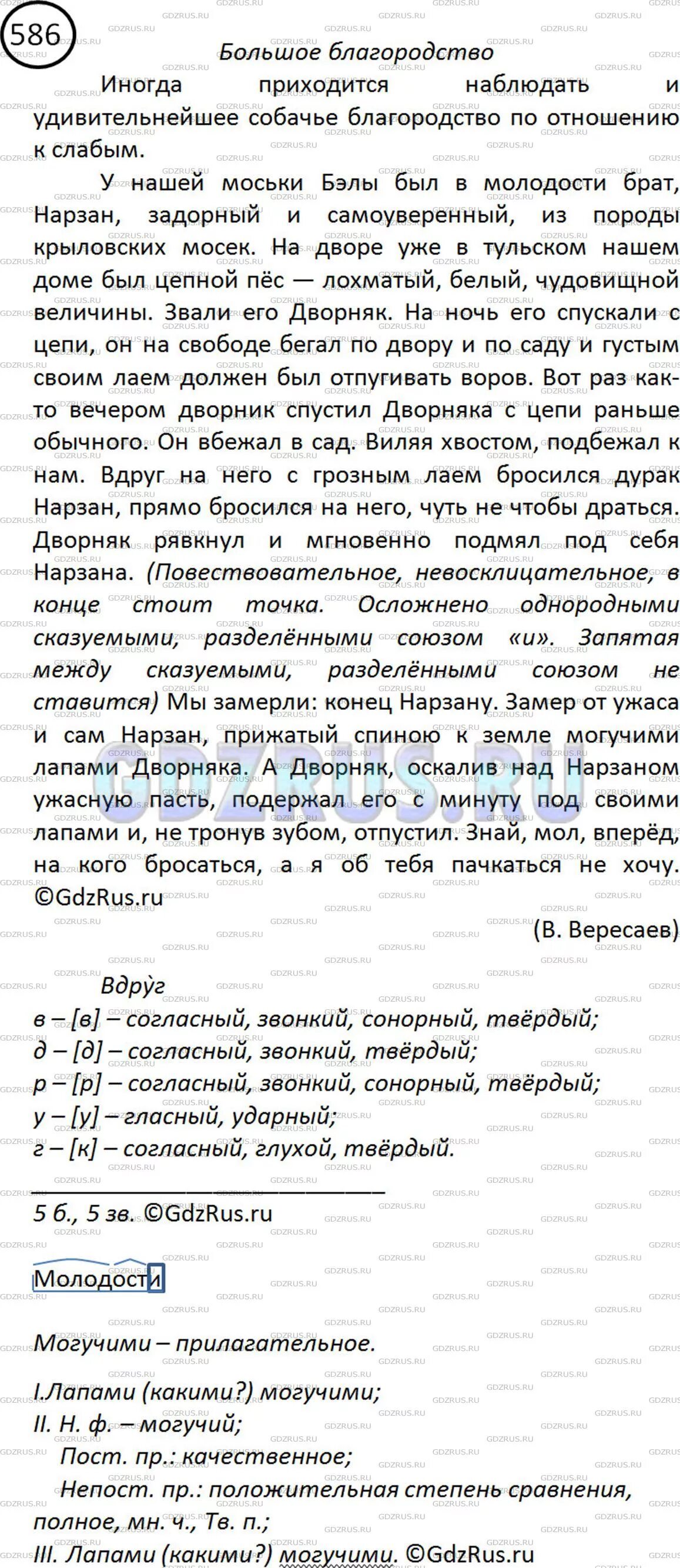 Упр 586 по русскому языку 5 класс. Иногда приходится наблюдать и удивительнейшее Собачье благородство. Упр 586 по русскому языку 5 класс план. Собачье благородство изложение.