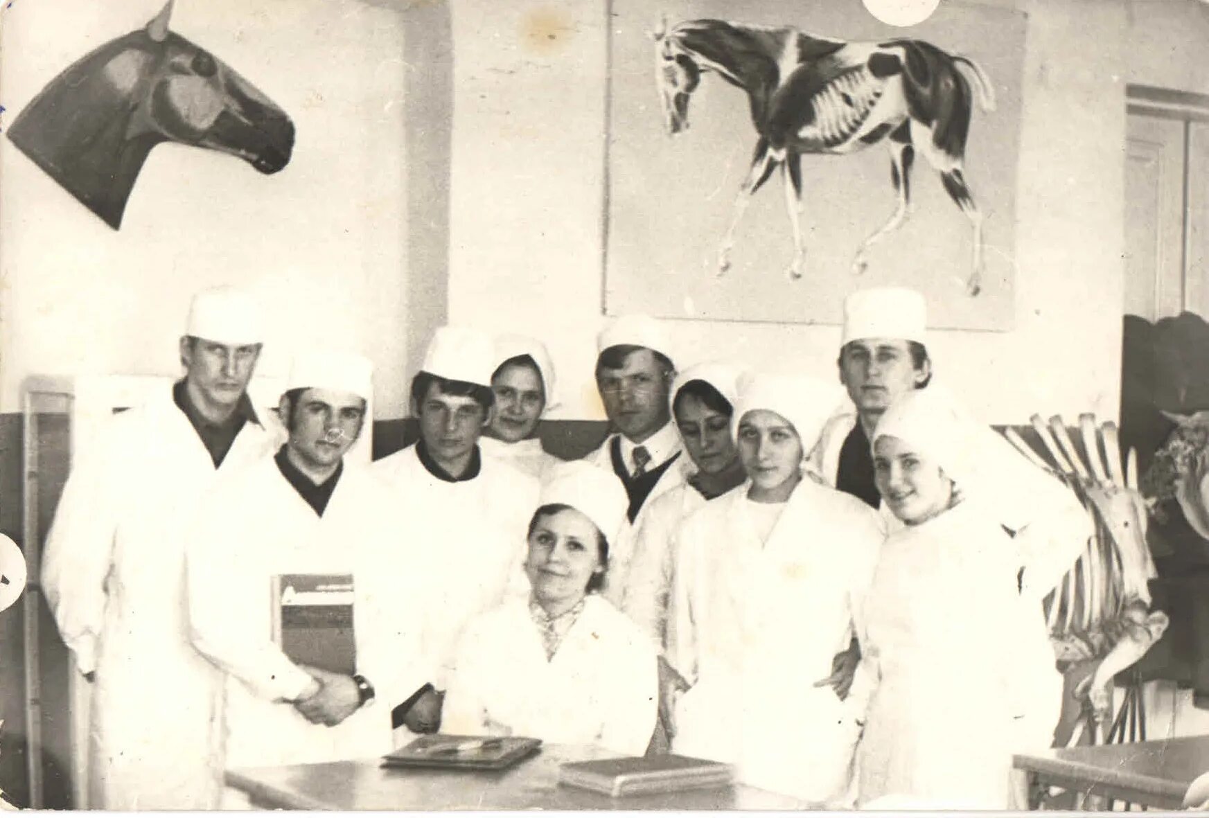 дивизионный ветеринарный лазарет 751. ветеринария 20 века в россии. ветеринарка старое.