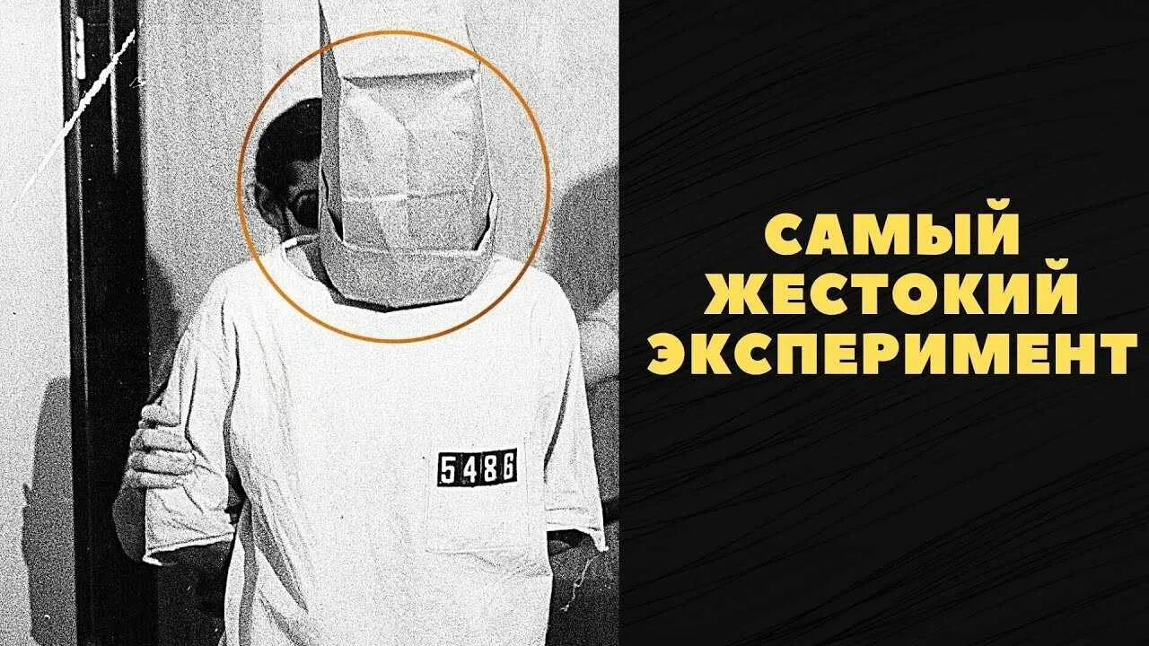 Эксперимент зимбардо. Стэнфордский эксперимент зимбардо.
