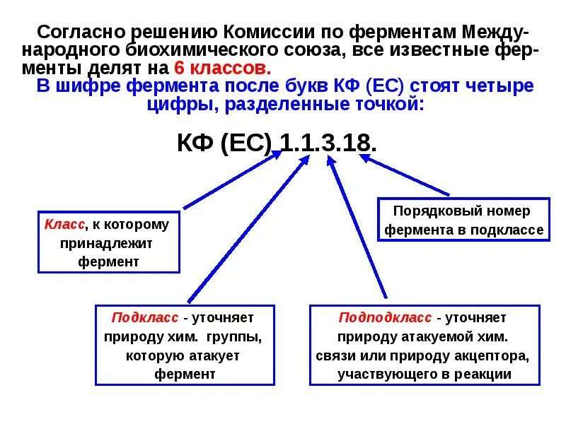 Шифр ферментов. Шифр фермента пример. Шифры классификация ферментов. Номенклатура и шифр ферментов. Код фермента