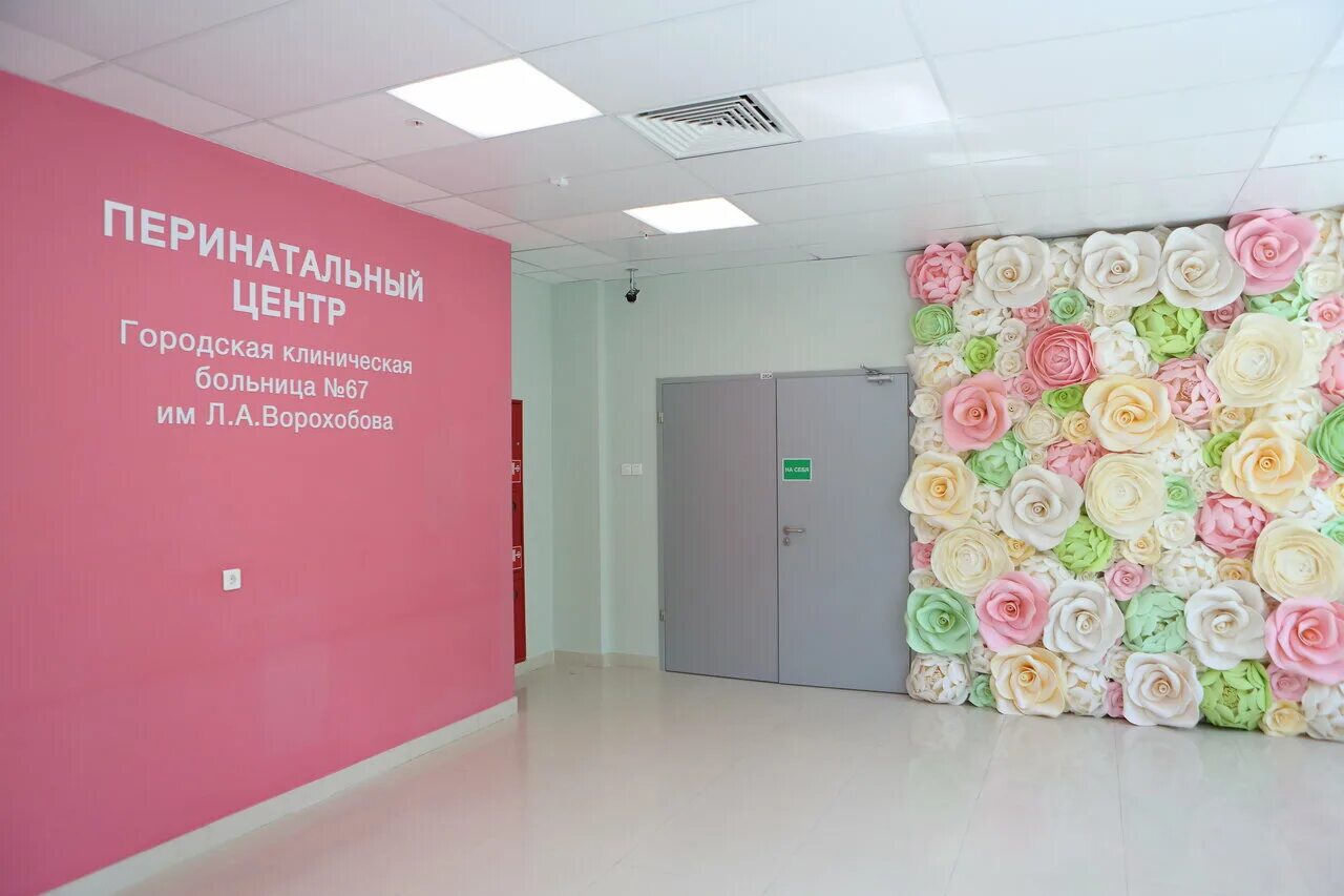 Пц 67 ворохобова роддом. 67 перинатальный центр москва. Пушкова 67 гкб. Перинатальный центр 67 ворохобова. Перинатальный центр 67 ворохобова.