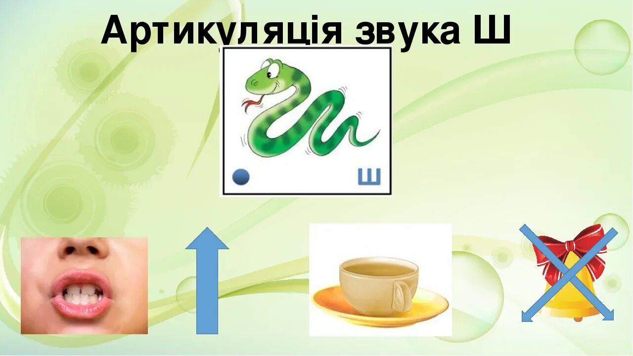 Шум ш