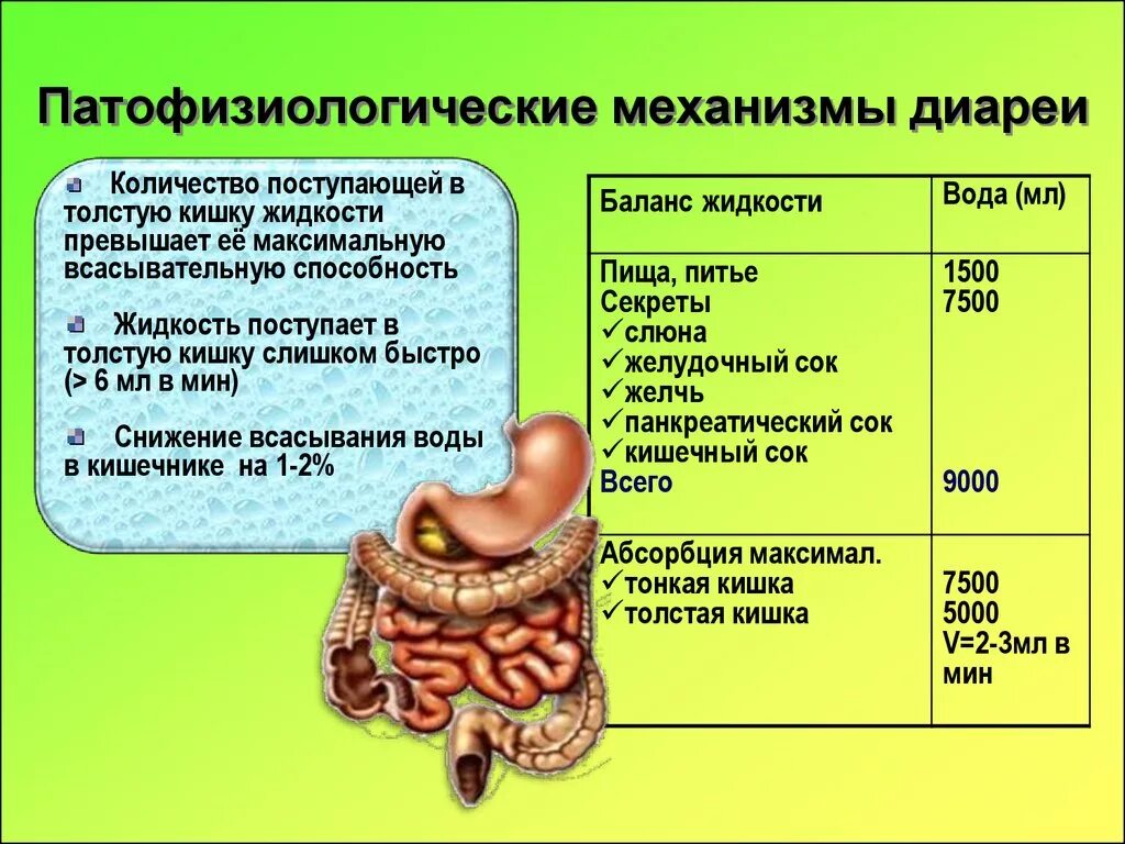 Диарея презентация. Диарея патогенез презентация. Механизм диареи патофизиология. Патофизиологическая классификация диареи. Вода попадает в кишечник