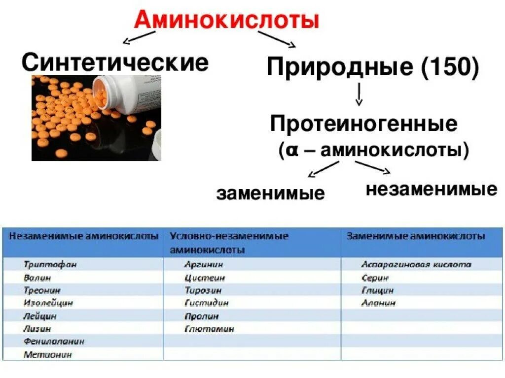 Незаменимые аминокислоты микроэлементы и. Заменимые и незаменимые аминокислоты. основные незаменимые аминокислоты. заменимые протеиногенные аминокислоты. заменимые аминокислоты формулы.