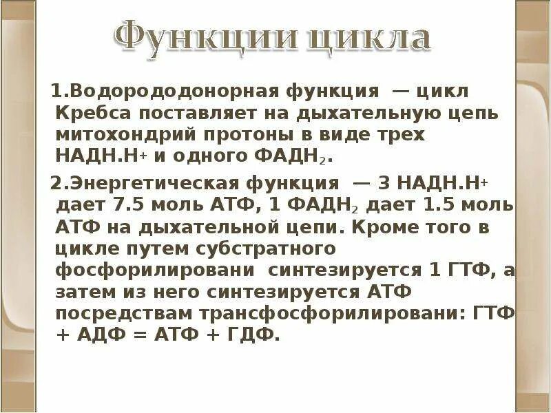 Функция цикла. Энергетическая функция цикла кребса. функции цикла кребса. роль цикла кребса. биологическая роль цикла кребса.