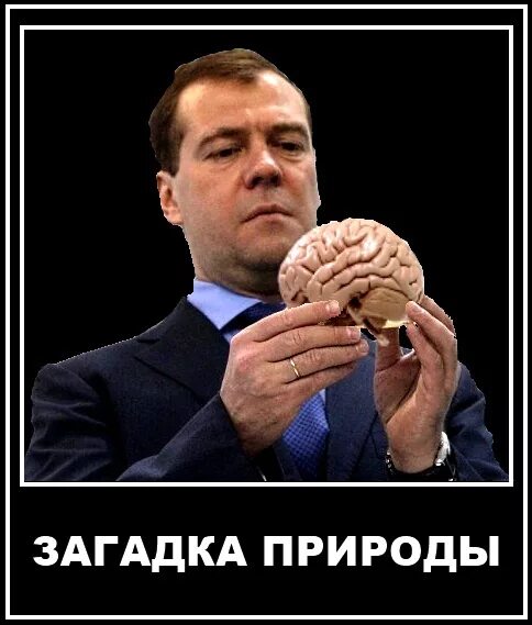 4 вещи которые невозможно объяснить. Мозг вскипел. Мем дарю тебе мозг. Мозг на ладони. Мозг дебилов.