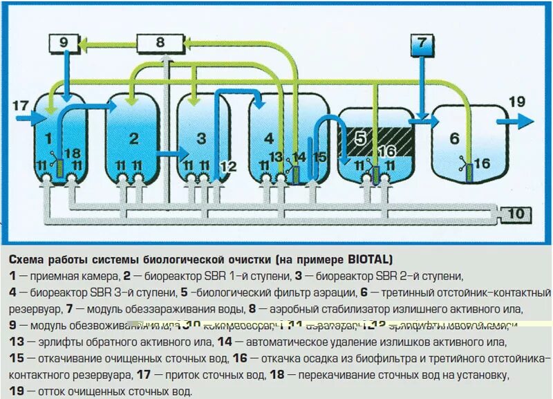 Очистка воды от органических. Биологический метод очистки сточных вод схема. Биологическая очистка сточных вод схема. Биологическая фильтрация очистных сооружений. Схема очистки воды биологический метод очистки.