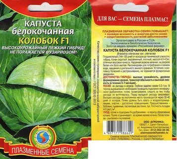 Капуста колобок описание