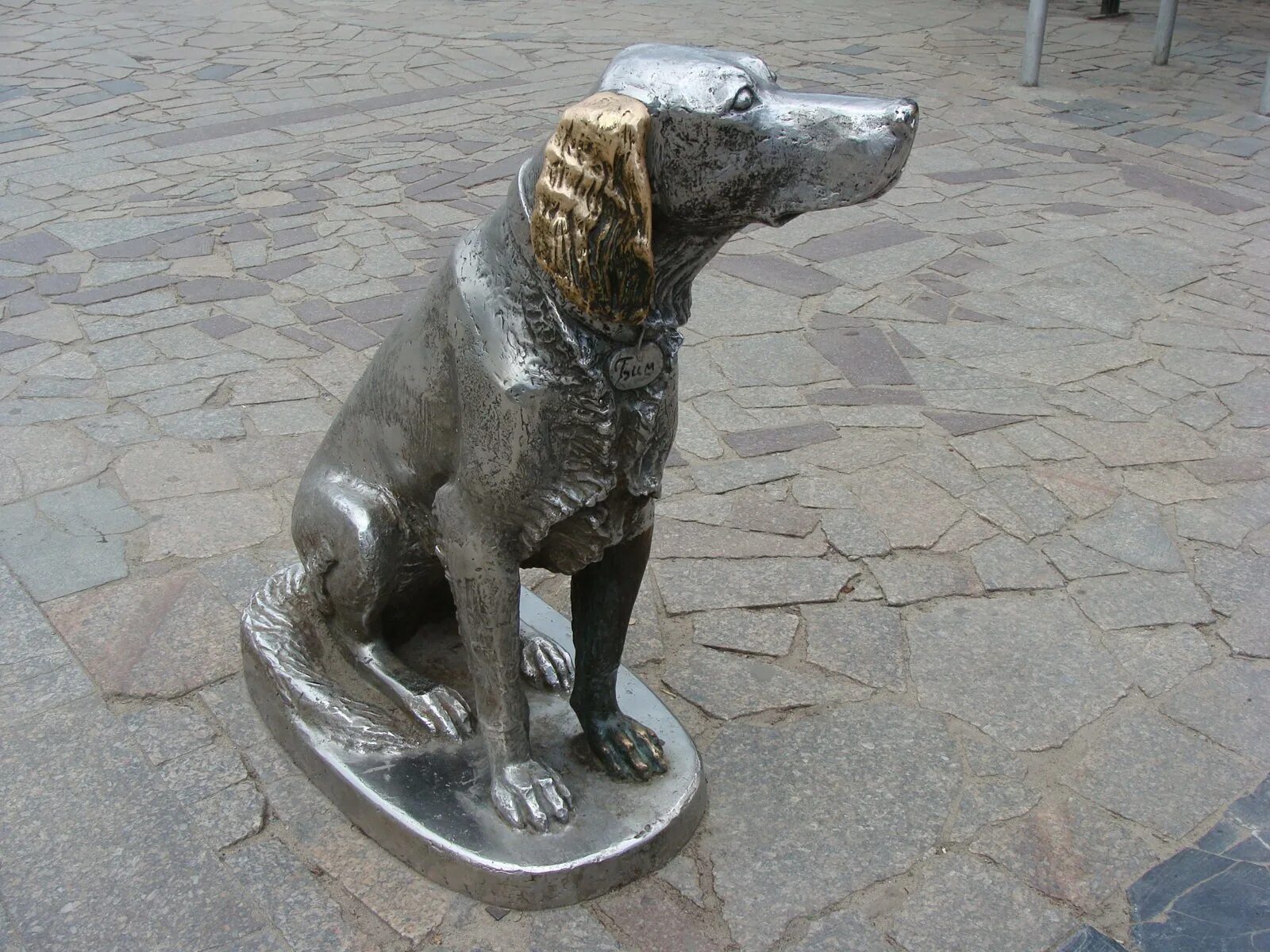 собак в воронеже адрес