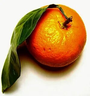 Murcott fruit