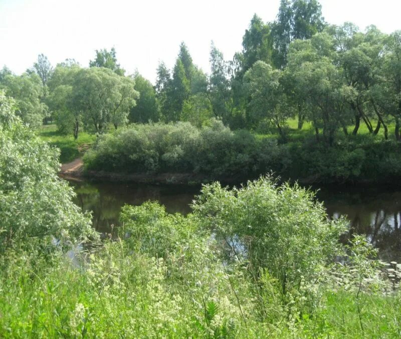 Старая русса участки. Старая русса участки. Григорьево новгородская область. Старая русса участки. Участки от собственника.