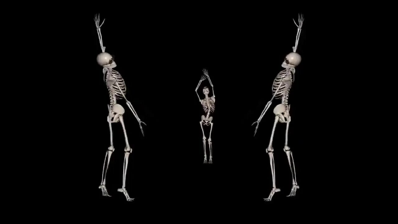 Танцующий скелет видео. Танцующий скелет. скелет танцует. танец скелетов. скелет гиф.
