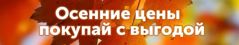 Скиньте сколько стоит. Осенняя акция. Осенние слоганы. Осенью дешевле. Осенние цены.