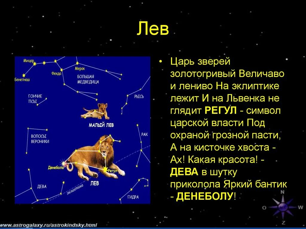 Созвездие льва весеннего неба. Созвездие малый Лев рассказ. Созвездие Лев рассказ 2 класс. Рассказ о созвездии малый Лев короткий. Рассказ о созвездии весеннего неба малый Лев.