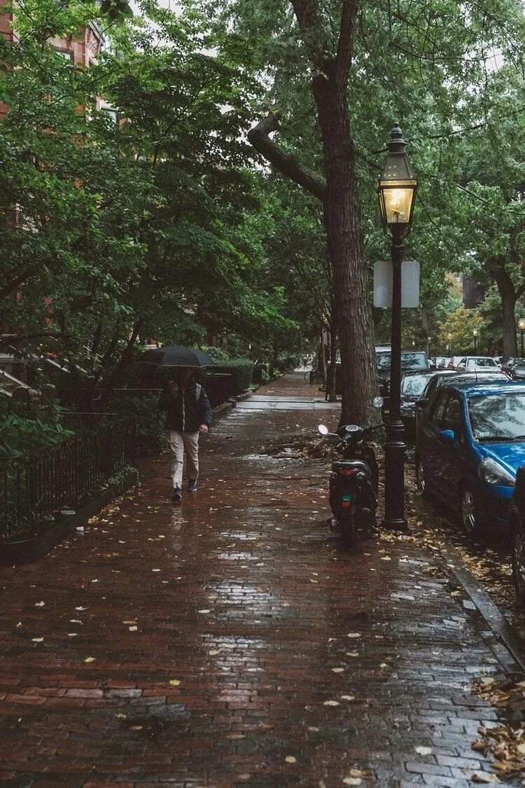 Ливень на улице. Дождь на улице. Мокрый асфальт дождь. На улице дождик.