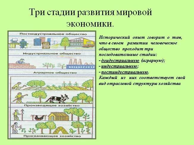 Стадии международного развития. Этапы развития мировой экономики аграрное хозяйство. 3 Этап эволюции мирового хозяйства. Три этапа формирования мирового хозяйства. 3 Стадии развития мирового хозяйства.