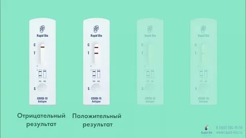 Рапид био тест на коронавирус инструкция
