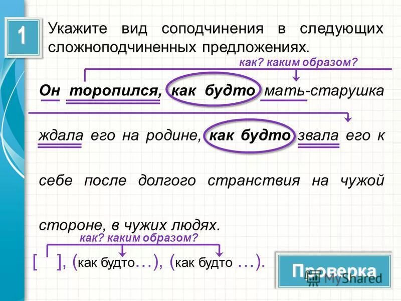 Каждый день родители ожидали сложноподчиненные