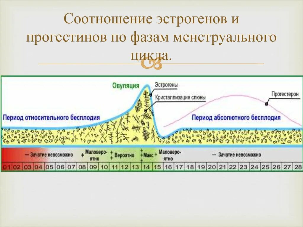 Вторая фаза менструационного. Регуляция половых гормонов по фазам менструационного цикла. 2 Фаза менструационного цикла секреторная. Гормоны 1 и 2 фазы менструационного цикла. Гормоны 1 фазы менструационного цикла препараты.