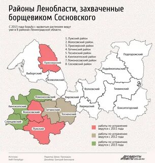 Карта борщевика сосновского