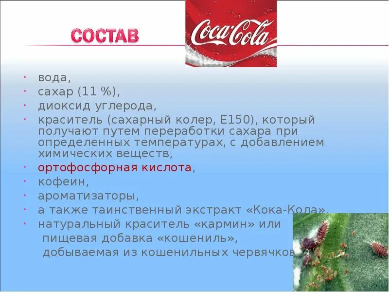 Кока значение слова