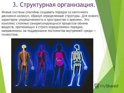 Для всего живого характерно