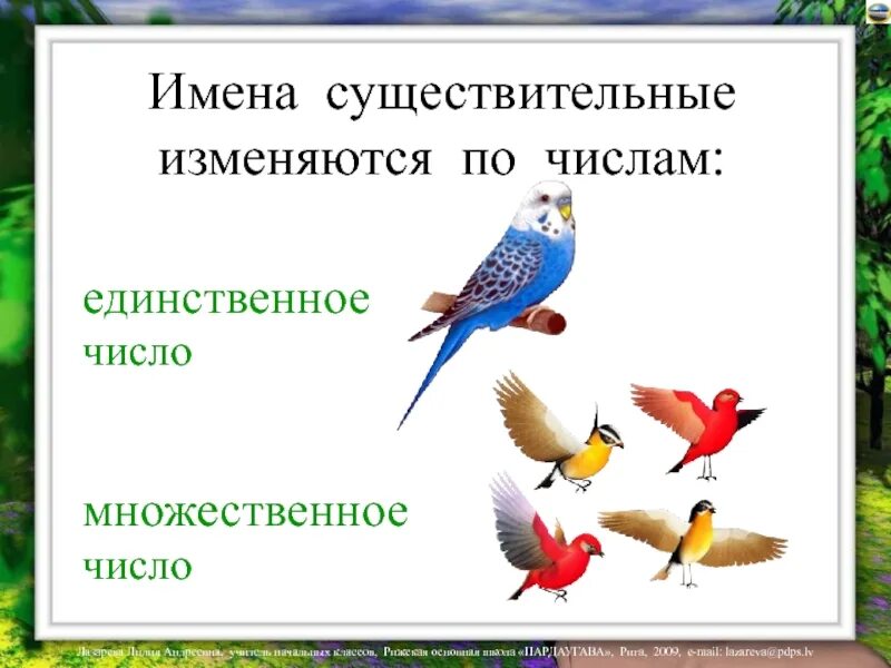 Имя сущ изменяется по. Изменение существительных по числам. Изменение имен существительных по числам. Имена существительные изменяются по числам. Существительное изменяется по числам.