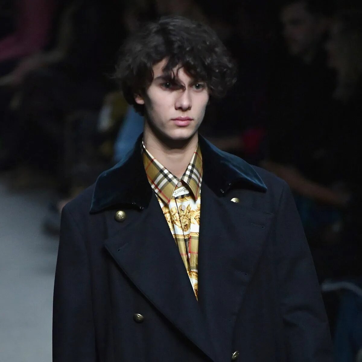 Prince model