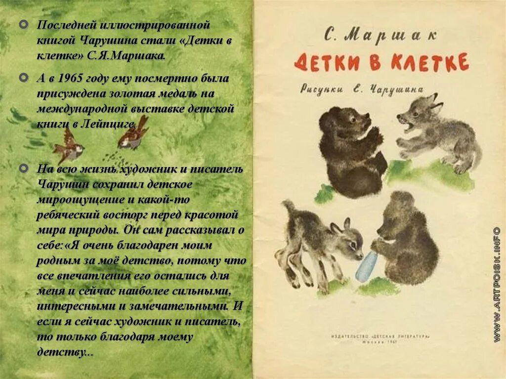 Чарушин рассказы главные герои