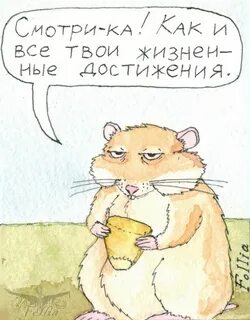 Хомяк вышли карты