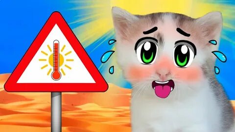 А ну ка давайка кот малыш